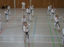 Marbach(D) 2015-96