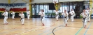 1-2-3/Apr Int. Meeting + Seminar in Hotton (BELGIUM)