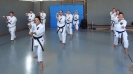 Autumn-Seminar 2016-39