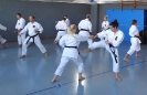 Autumn-Seminar 2016-50