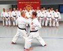 Autumn-Seminar 2016-8