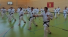 SpringCamp 2017-10