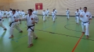 SpringCamp 2017-11