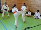 SpringCamp 2017-20