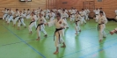 SpringCamp 2017-5