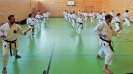 SpringCamp 2017-62