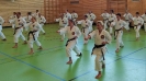 SpringCamp 2017-6