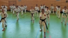 SpringCamp 2017-7