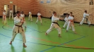 SpringCamp 2017-8