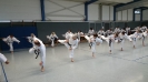 Autumn Seminar Germany-7