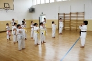 Stage - Montalto di Castro (VT) - Italy-4