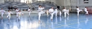 GASSHUKU  - 2018-7