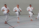 Autumn Seminar 2018-33