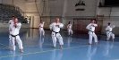 Summer “GASSHUKU”(Hungary)_38