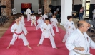 (29-30 April 2023) - Montalto di Castro Seminar in Italy