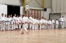 Hotton Seminar 2023_10