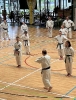 Hotton Seminar 2023_12