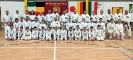 Hotton Seminar 2023_1