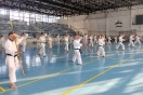 Summer GASSHUKU in Hungary(12-13-14 July 2024)
