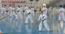 Summer GASSHUKU 2024_40