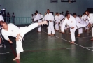 Hanshi Around World